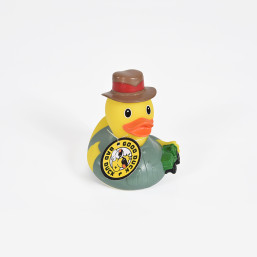 Explorer Duck